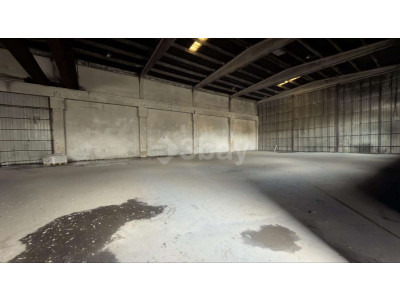 WhatsApp Image 2026-03-30 at 20.43.19 (1).jpeg